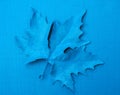 Maple leaf blue Royalty Free Stock Photo