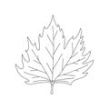Maple leaf. Botanical decorative element. Symbol of autumn. Simple black and white vector illustration, hand drawn Royalty Free Stock Photo