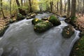 Maple leaf on boulder in stream Royalty Free Stock Photo