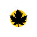 Maple leaf Canada symbol, icon, logo design Royalty Free Stock Photo