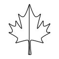 maple leaf canadian symbol icon