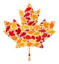 Maple Leaf Autumn Collage Icon with Fall Leaves