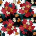 Maple leaf color seamless pattern Royalty Free Stock Photo