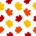 Maple leaf colorful symbol seamless pattern. Autumn falling leaves on white background. Simple cute cozy forest foliage for cover