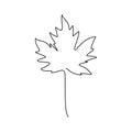 Maple leaf continuous one line drawing minimalism design