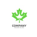 Maple leaf with crown logo vector