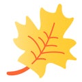 Maple leaf flat icon. Canadian symbol color icons in trendy flat style. Tree foliage gradient style design, designed for