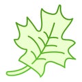 Maple leaf flat icon. Canadian symbol green icons in trendy flat style. Tree foliage gradient style design, designed for