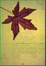 Maple leaf on grunge background Royalty Free Stock Photo