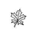 Maple leaf hand drawn sketch icon. Royalty Free Stock Photo