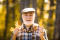 Maple leaf on hiking trail in park. Elderly man smiling outdoors in nature. Healthy active senior man holding a Royalty Free Stock Photo