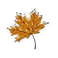 Maple leaf icon