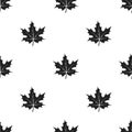 Maple leaf icon in black style isolated on white background. Canadian Thanksgiving Day pattern stock vector illustration