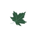 Maple leaf icon. Cute colored flat doodle vector illustration Royalty Free Stock Photo