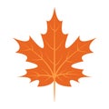 Maple leaf icon, flat style Royalty Free Stock Photo