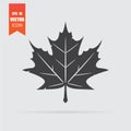 Maple leaf icon in flat style isolated on grey background Royalty Free Stock Photo