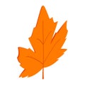 Maple leaf icon, isometric 3d style Royalty Free Stock Photo