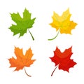 Maple leaf icons in red, yellow, and green colors Royalty Free Stock Photo