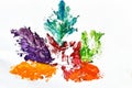 Maple leaf imprint, brightly colored maple leaf illustration on white background.