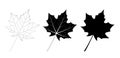 Vector set of maple leaves, outline and silhouette. Maple leaf isolated