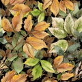 Maple leaf. Leaf plant botanical garden floral foliage. Seamless background pattern. Fabric wallpaper print texture.
