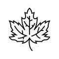 Maple leaf line icon, concept sign, outline vector illustration, linear symbol. Royalty Free Stock Photo