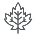 Maple leaf line icon, foliage and nature, autumn leaf sign, vector graphics, a linear pattern on a white background. Royalty Free Stock Photo