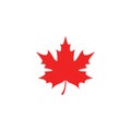 Maple leaf logo template vector icon illustration Royalty Free Stock Photo