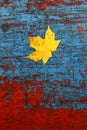 Maple leaf and old paint Royalty Free Stock Photo