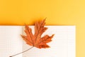 Maple leaf on open squared notebook, orange background Royalty Free Stock Photo