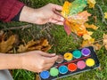 Maple leaf paint tinkering kindergarten Background Autumn