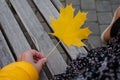 Maple leaf park bench. e concept of sadness, withering nature, loneliness. Autumn clothing collection Royalty Free Stock Photo