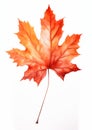 Maple Leaf Pencil: A Symbolic Metaphor of Canadian Pride in a Li