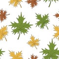 Maple leaf. Repeating pattern. Part of tree with veins. Continuous ornament of multicolored leaves