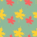 Maple leaf. Repeating pattern. Green background. Continuous ornament of yellow and red leaves
