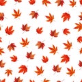 Maple leaf seamless pattern. Flat vector clipart, illustration Royalty Free Stock Photo