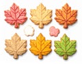 Maple Leaf Shaped Cookies with Colorful Icing on White Background Close Up Royalty Free Stock Photo