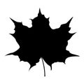 Maple leaf silhouette icon black color illustration Royalty Free Stock Photo