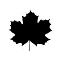 Maple leaf silhouette Royalty Free Stock Photo