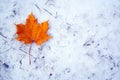 Maple leaf on snow Royalty Free Stock Photo