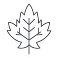 Maple leaf thin line icon, foliage and nature, autumn leaf sign, vector graphics, a linear pattern on a white background Royalty Free Stock Photo