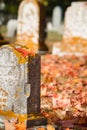 Maple leaf on tombstone in autumn cemetery