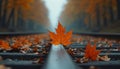 Maple Leaf on Train Tracks Royalty Free Stock Photo
