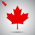 Maple leaf vector icon. Canada vector symbol maple leaf clip art Royalty Free Stock Photo