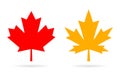 Maple leaf vector icon Royalty Free Stock Photo