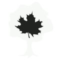 Maple leaf vector icon. Maple leaf vector illustration. Vector symbol maple leaf clip art. Black maple leaf. Royalty Free Stock Photo