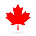 Maple leaf vector icon Royalty Free Stock Photo