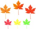 Maple leaf - vector icons Royalty Free Stock Photo