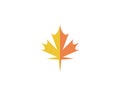 Maple leaf vector illustration Royalty Free Stock Photo