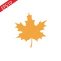 Maple leaf vector illustration, isolated on white background. Autumn realistic maple leaf graphic print or icon. Royalty Free Stock Photo